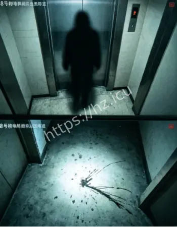 广州电梯黑影闪现
